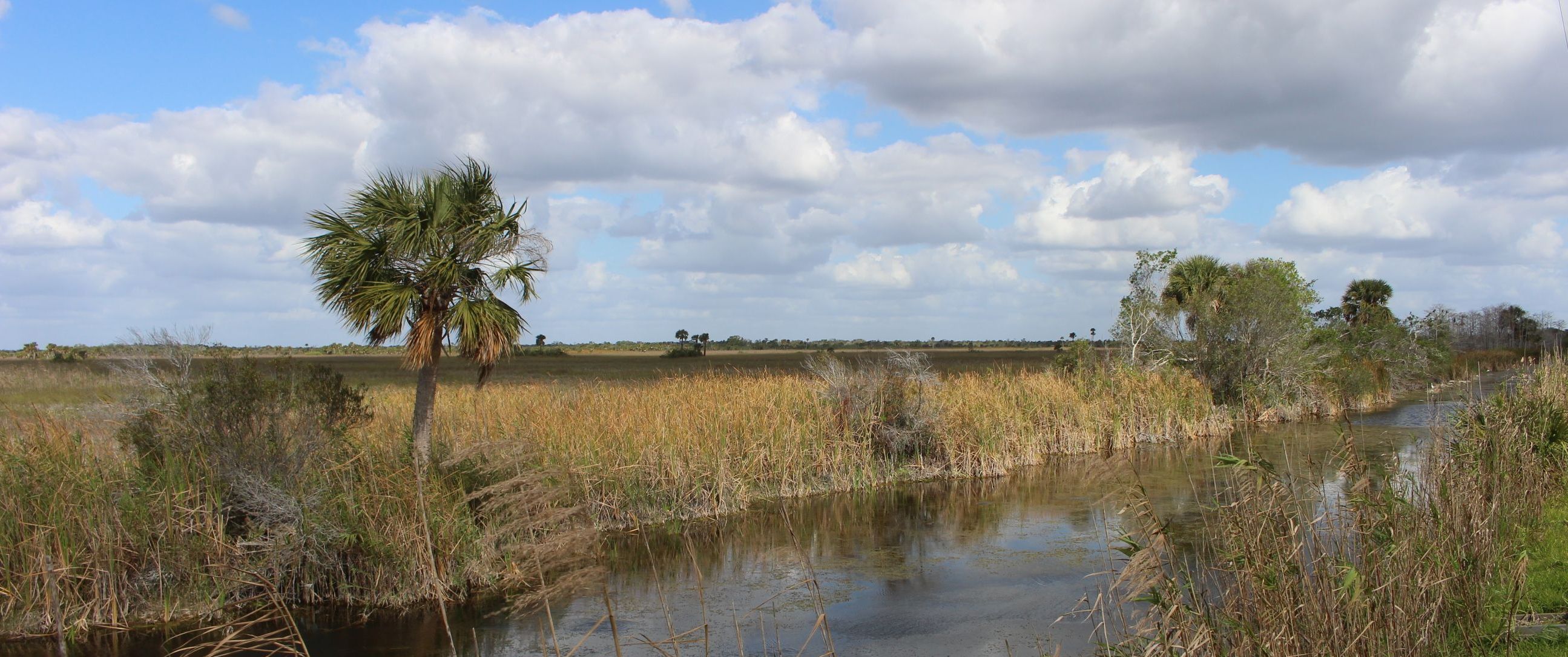 The River of Grass today